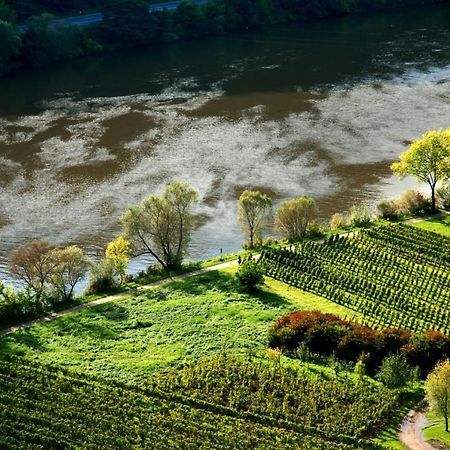 Appartamento Weingut Helmut Barzen Zell an der Mosel Esterno foto