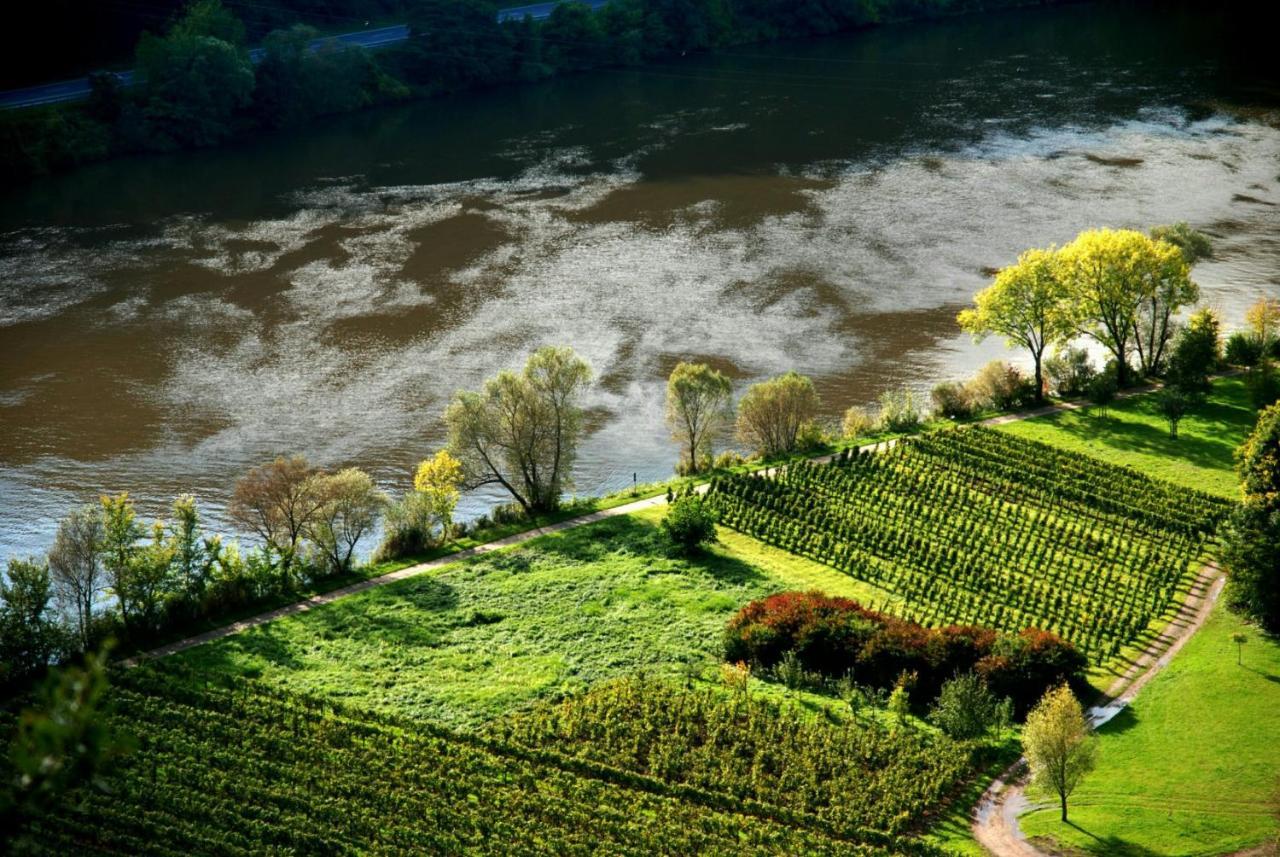 Appartamento Weingut Helmut Barzen Zell an der Mosel Esterno foto